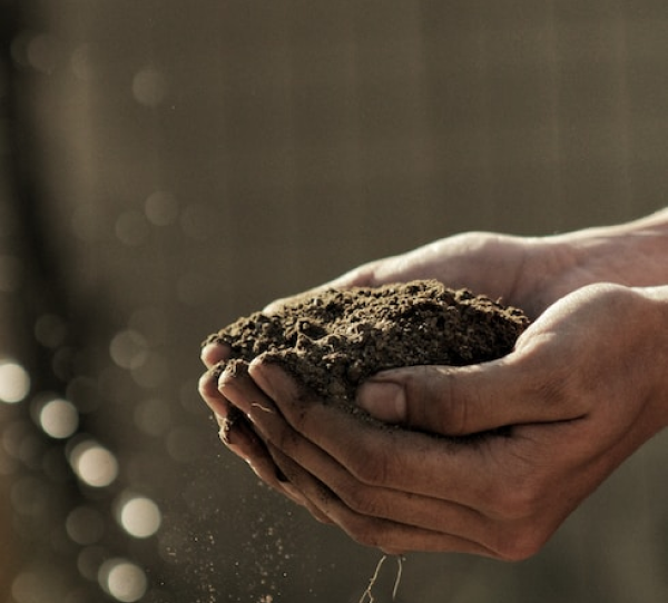 soil-sand