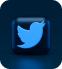 twitter-icon
